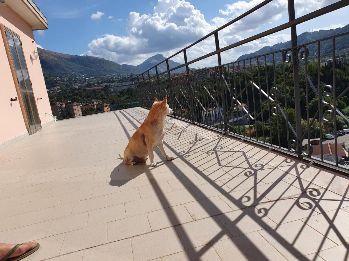 B&B Irnum Salerno Exteriör bild